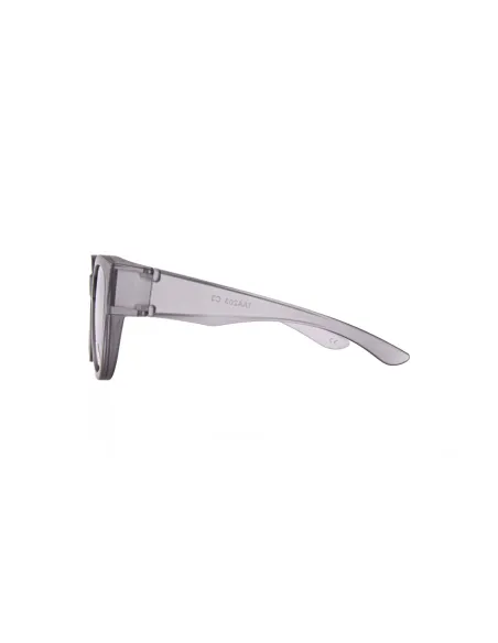 Ivision clip-on sunglasses for eyeglasses|opticraft.eu