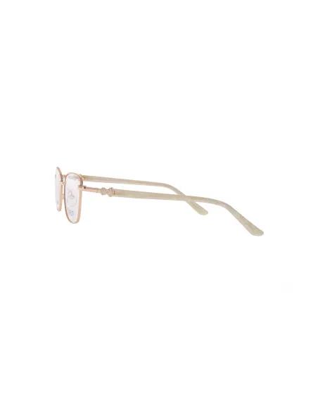 Ivision glasses|opticraft.eu