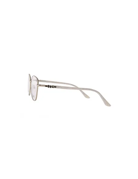 Ivision glasses|opticraft.eu