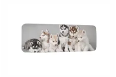 Szemüvegtok|opticraft.eu