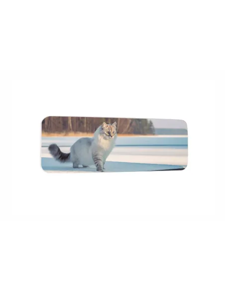 Glasses case|opticraft.eu