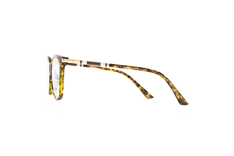 Ivision glasses|opticraft.eu