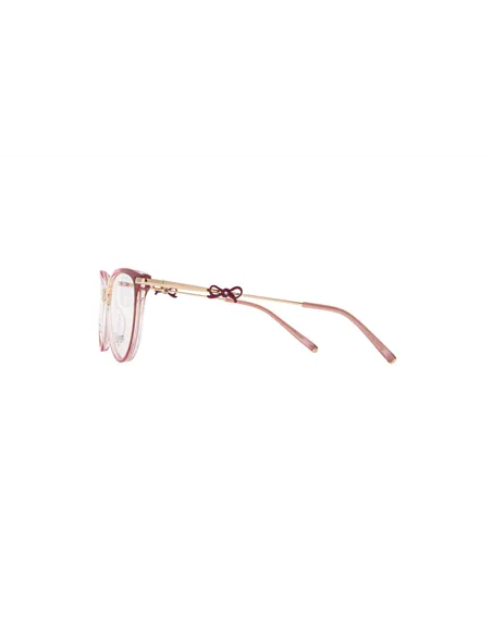 Ivision glasses|opticraft.eu