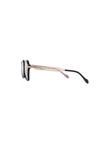 Ivision glasses|opticraft.eu