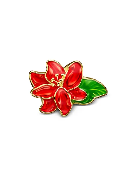 Cloozz szemüveg charm|opticraft.eu