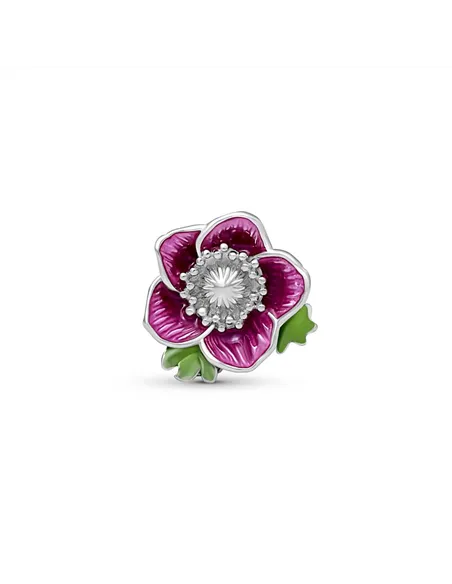 Cloozz szemüveg charm|opticraft.eu