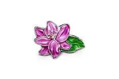 Cloozz szemüveg charm