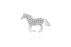 Cloozz glasses charm