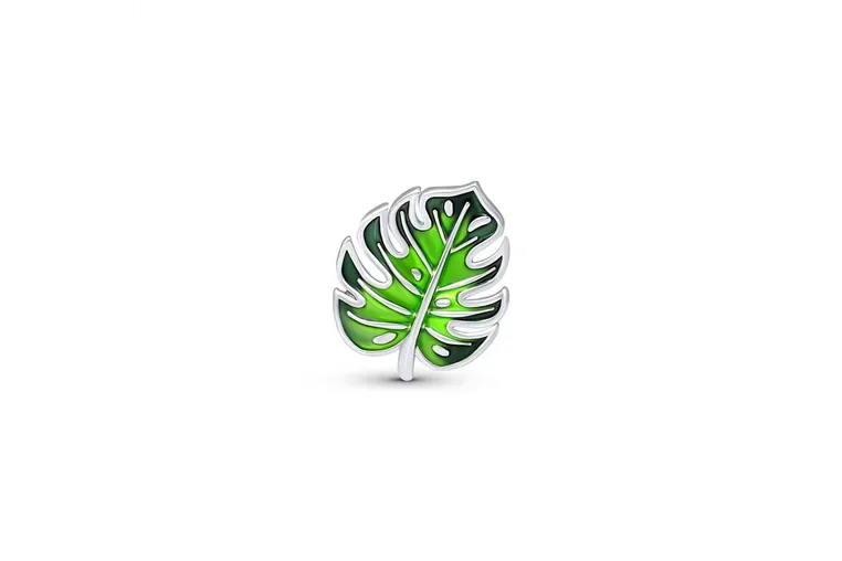 Cloozz glasses charm|opticraft.eu