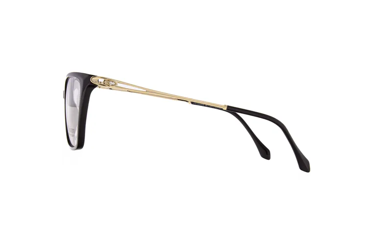 Ivision glasses|opticraft.eu