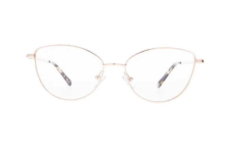 Ivision glasses|opticraft.eu