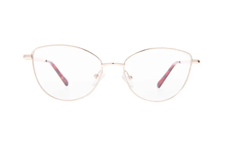 Ivision glasses|opticraft.eu