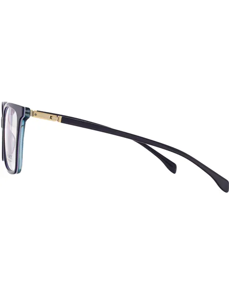 Ivision glasses|opticraft.eu