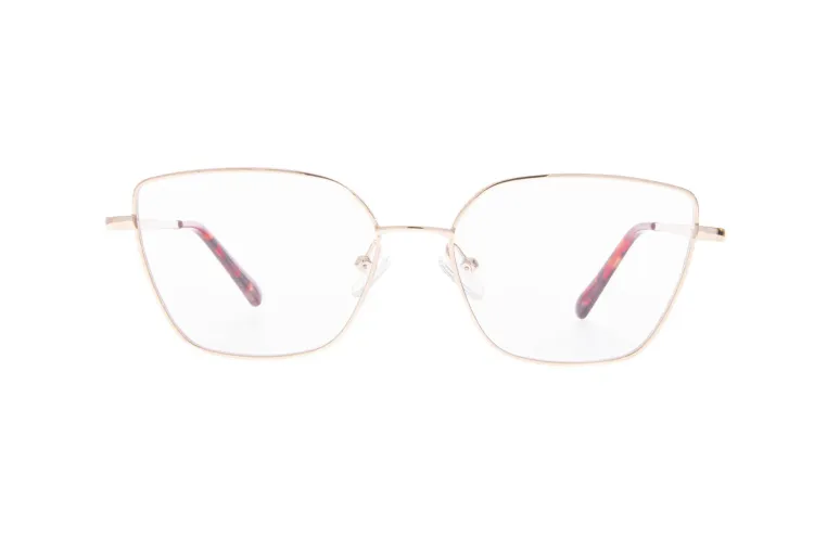 Ivision glasses|opticraft.eu