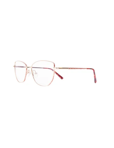 Ivision glasses|opticraft.eu