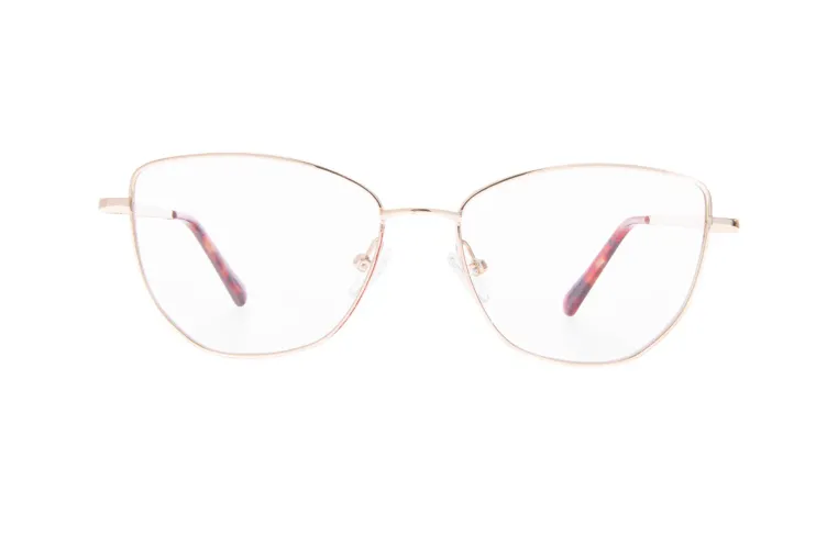 Ivision glasses|opticraft.eu