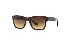 Ivision by Opticraft sunglasses