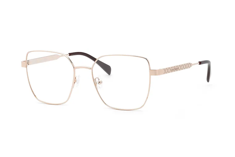 Laura Biagiotti glasses|opticraft.eu