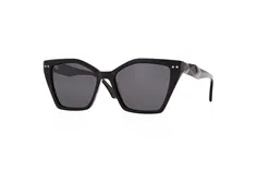 Ivision by Opticraft sunglasses