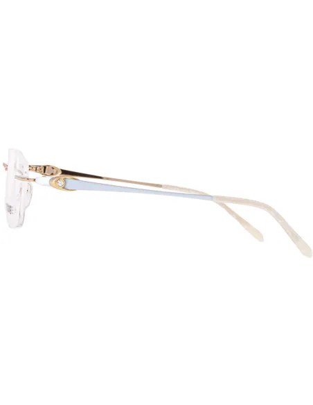 Titanium glasses|opticraft.eu