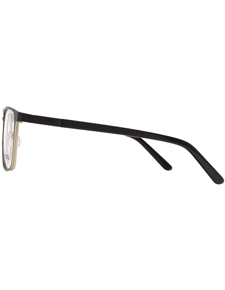 Titanium glasses|opticraft.eu