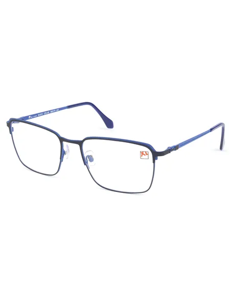 C-zone glasses|opticraft.eu