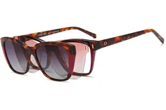 C-zone glasses