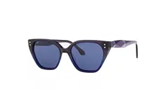 Ivision by Opticraft sunglasses