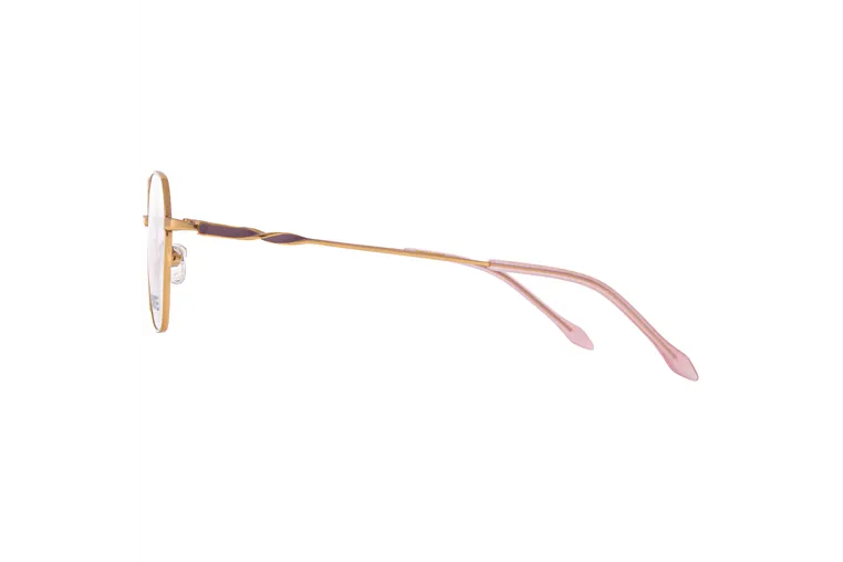 Titanium glasses|opticraft.eu