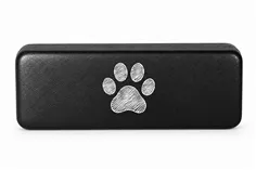 copy of Glasses case