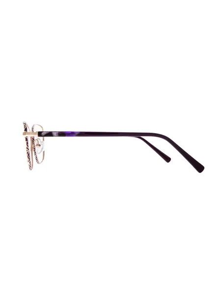 Ivision glasses|opticraft.eu