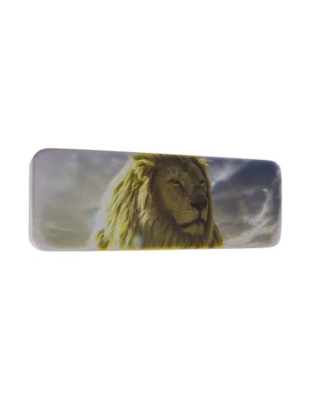 Glasses case|opticraft.eu